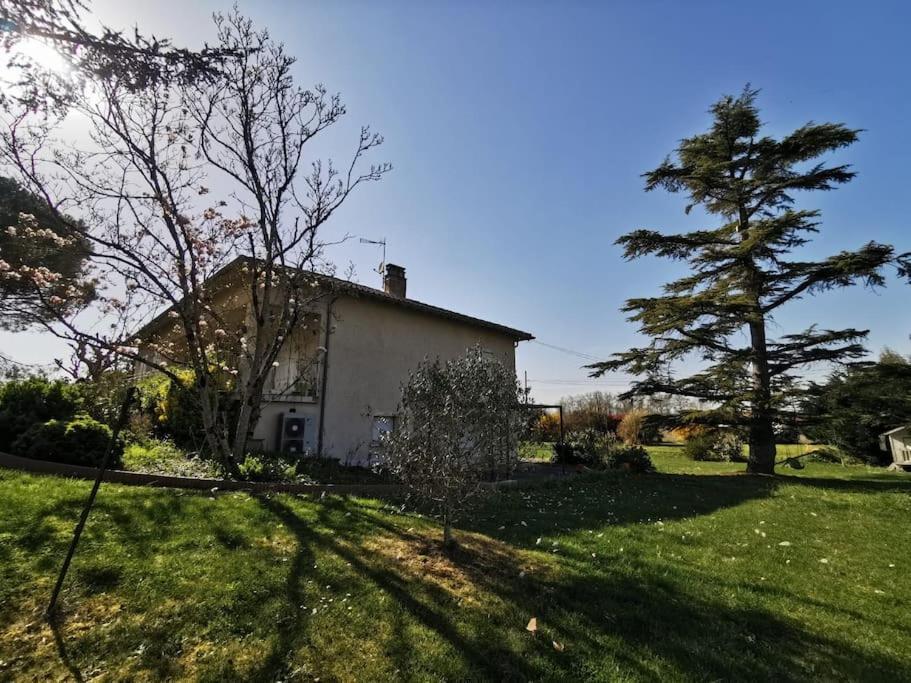 Maison Gaillacoise Dış mekan fotoğraf