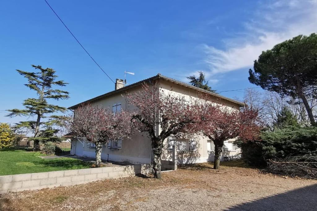 Maison Gaillacoise Dış mekan fotoğraf